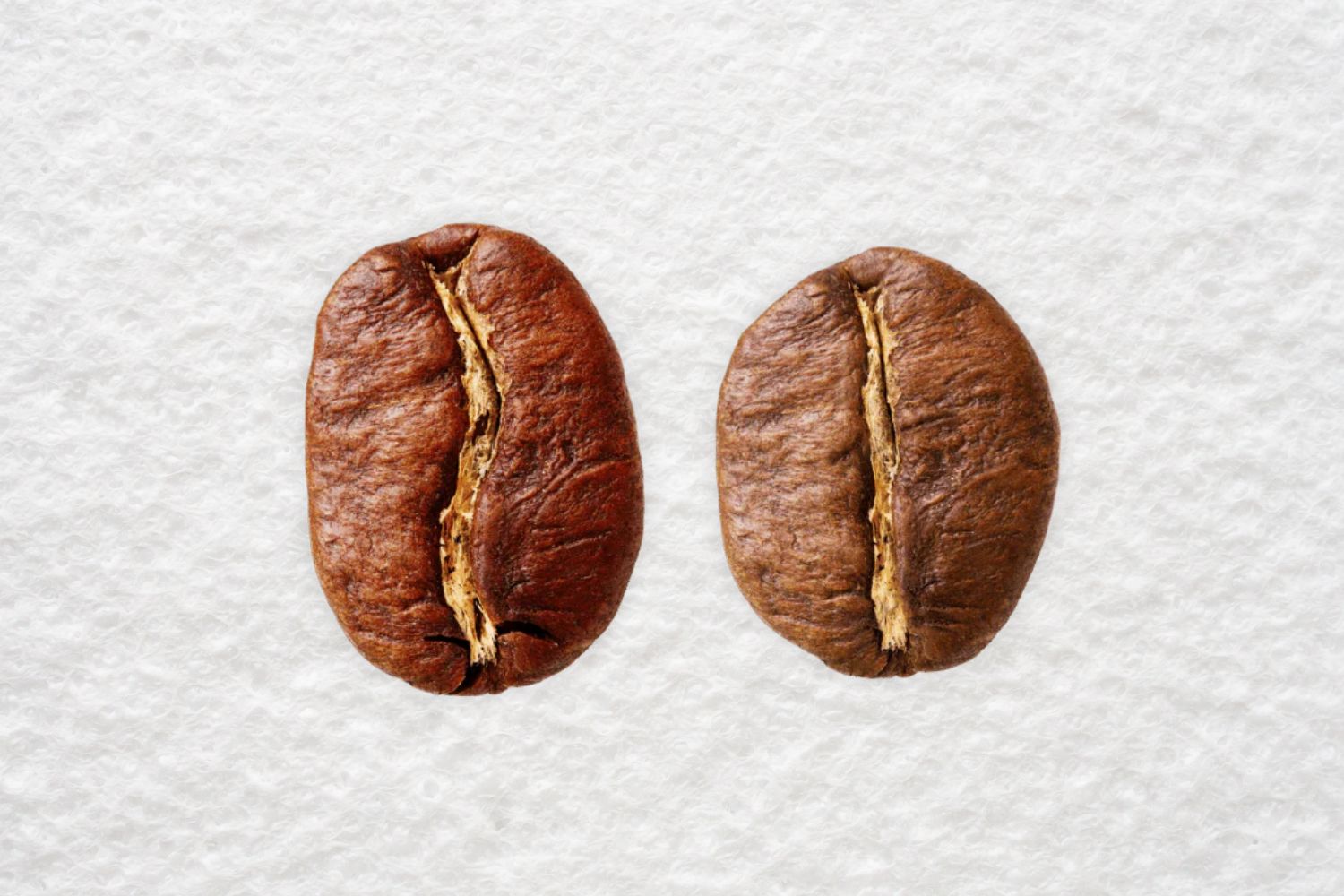 Arabica vs. Robusta: jaký je rozdíl?