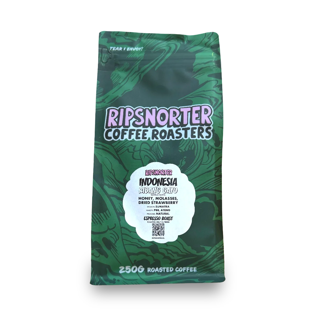 Ribang Gayo, Indonésie