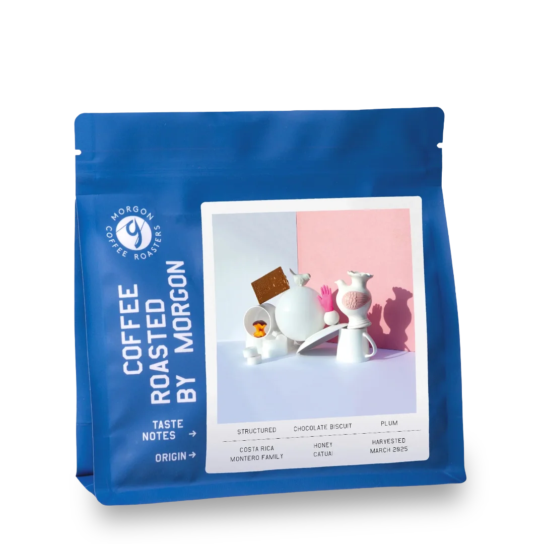 Montero Family, Kostarika